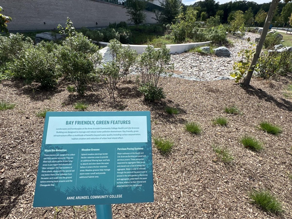 Facilities staff mulched over a garden featuring native plants behind the Health and Life Sciences Building in August.